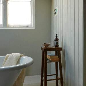 Bathroom painted with Earthborn's Gregory's Den lifestyle paint