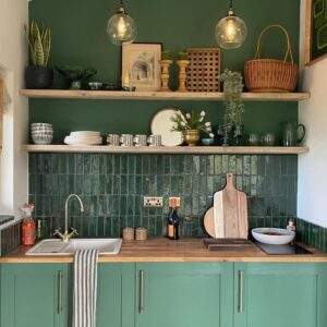 Earthborn Hobby Wood kitchen wall paint