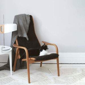Eyebright room with cat Room scene with walls painted with Earthborn Eyebright