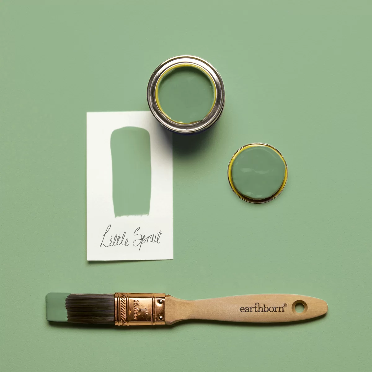 Earthborn Little Sprout green eco paint