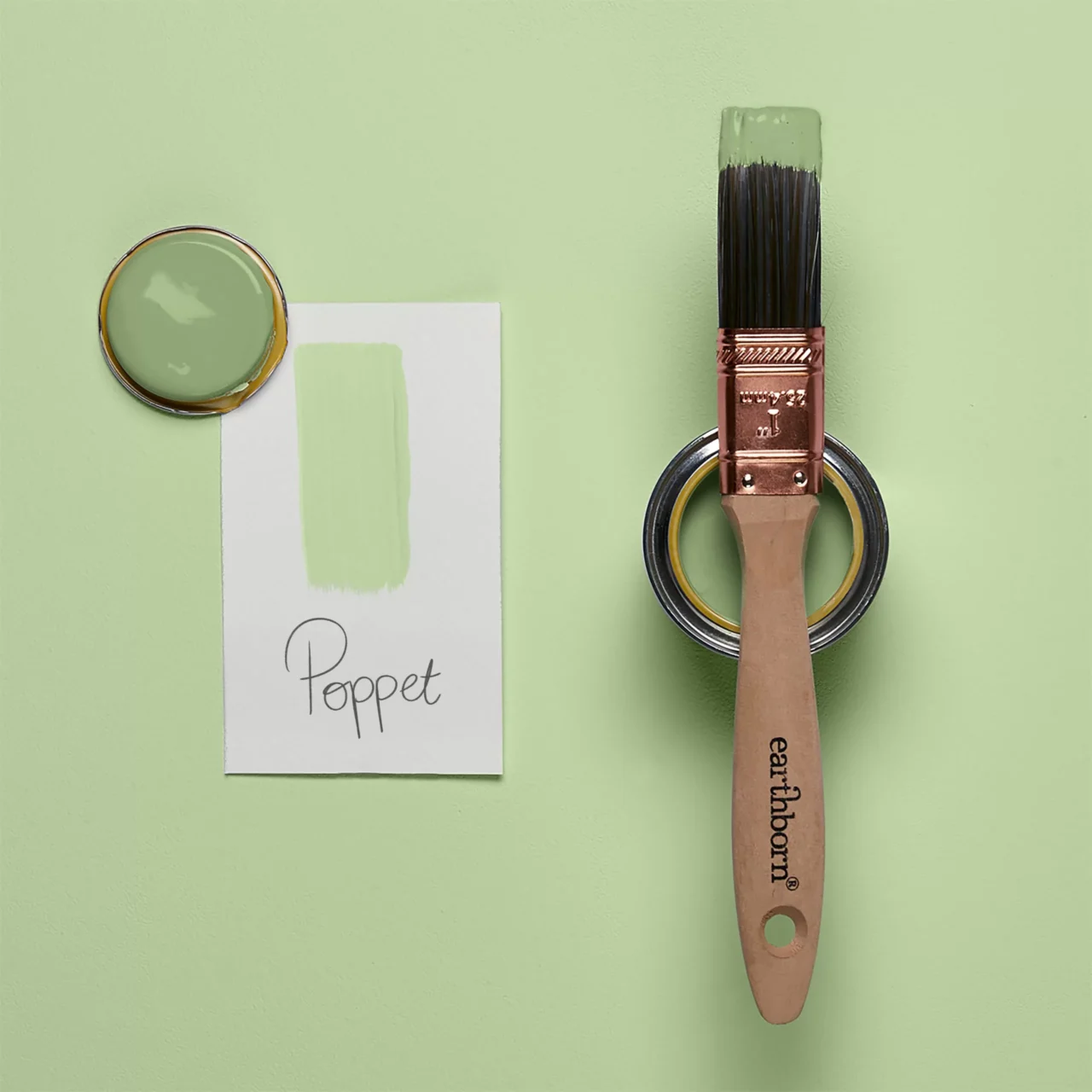 Earthborn Poppet green eco paint