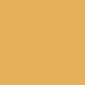 Earthborn Three Bears yellow eco paint