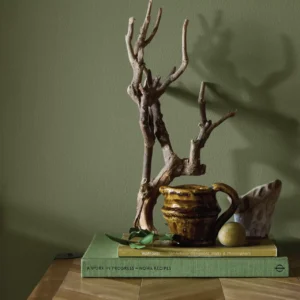 Website_Lifestyle_Lowres-12 Earthborn Oliver Twig green eco paint